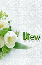 Guestbook