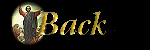 back to graphics index
