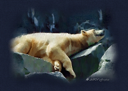 Photography � ACW Graphics