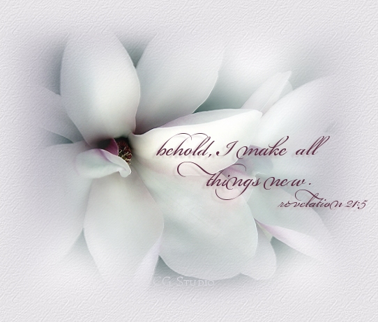 Graphics (c) CG Studio