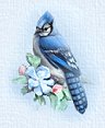BlueJay