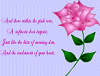Color of Love