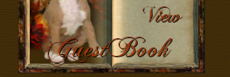View Guestbook