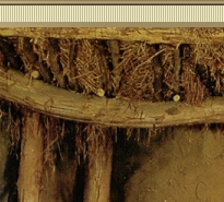 It happened, oh, so long ago,
one cold and starry night,
A special child named Jesus 
was born to bring us light
~Vi B. Chevalier~