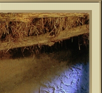 More than a child born in the hay,
Jesus, my Lord, on that first Christmas day.
More than the son of a carpenter man;
You carried the weight of the world in Your hand.
~� 1997 Lawrence Keith Holder~