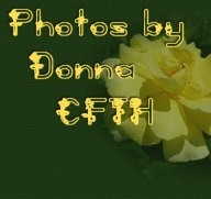 Photos by Donna, Creations From The Heart