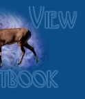 View my guestbook!