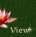 View Guestbook
