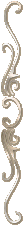 goldenbarv-r