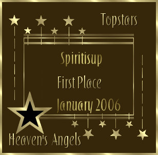 1st Place Jan 2006 Top Stars