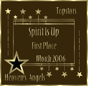 1st Place March 2006 Top Stars