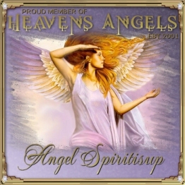 Proud Member of Heaven's Angels