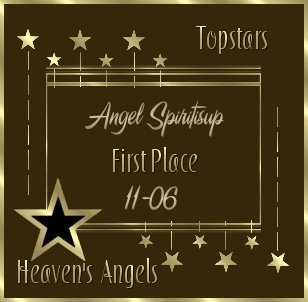 1st Place Nov 2006 Top Stars