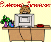 Internet Survivor