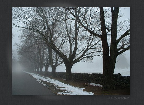 Photo � ACW Graphics