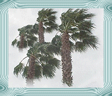 Send This Page to a Friend