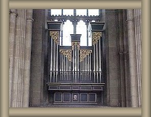 Organ Pipes