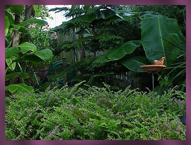Terra Cotta Bird Bath