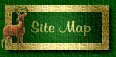 SiteMap Flash/Newest/Main