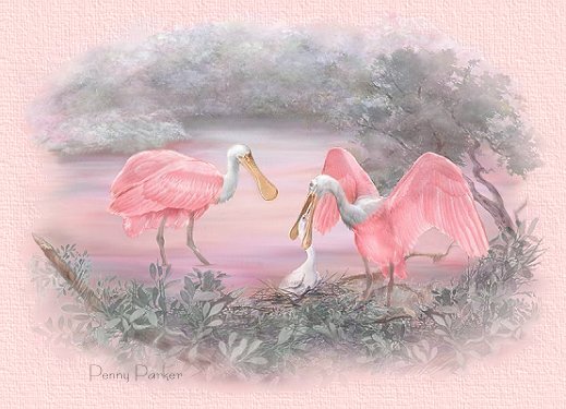 Spoonbills
