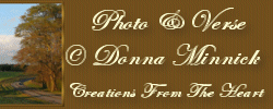 Email Author: Donna Minnick