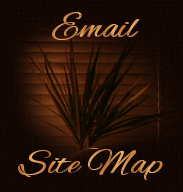 email/ site map