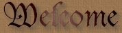 Welcome