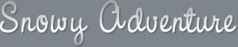 Snowy Adventure Title
