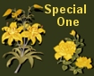 Special One