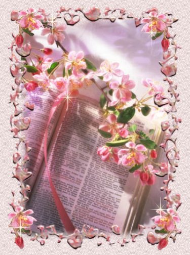 thebiblehead.jpg - 54388 Bytes