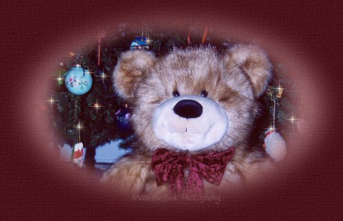 Thistlehair The Christmas Bear graphic of an adorable Christmas bear.