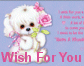 I Wish For You