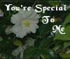 You're Special To Me